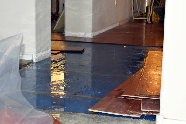 Professional Emergency Water Damage Restoration technician working in La Coste, TX